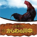 かしわの川中　活地鶏専門販売店　穏座　ONZA　直営地鶏料理 さんのプロフィール写真